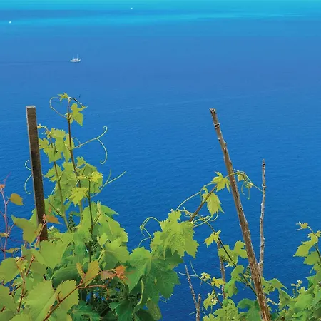 Διαμέρισμα Gorgeous In With House Sea View Orebić